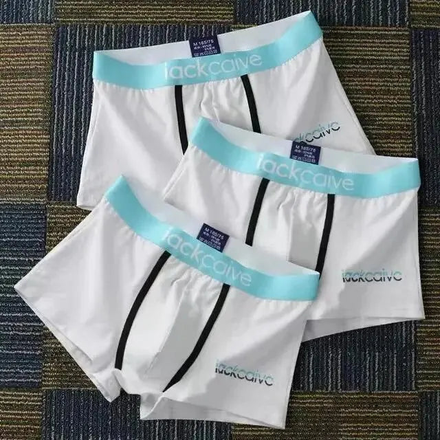3Pcs Male Cotton Men's Underwear Boxers M-3XL