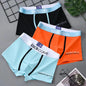 3Pcs Male Cotton Men's Underwear Boxers M-3XL