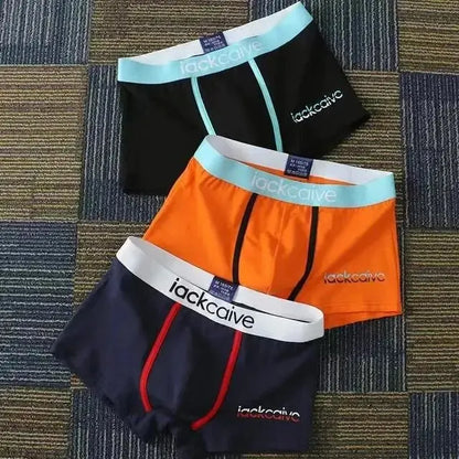 3Pcs Male Cotton Men's Underwear Boxers M-3XL