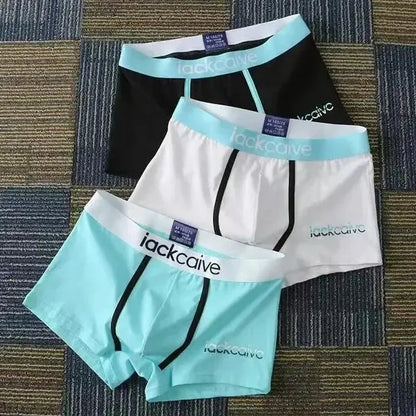 3Pcs Male Cotton Men's Underwear Boxers M-3XL