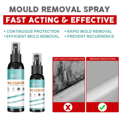 Mold Remover Spray Easy to Use Formula