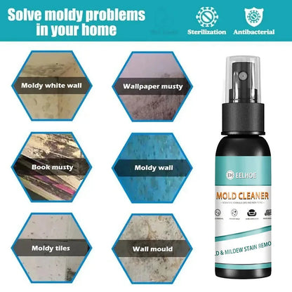 Mold Remover Spray Easy to Use Formula