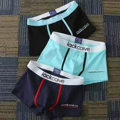 3Pcs Male Cotton Men's Underwear Boxers M-3XL