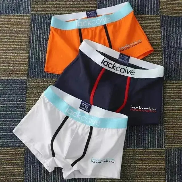 3Pcs Male Cotton Men's Underwear Boxers M-3XL