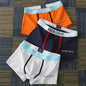 3Pcs Male Cotton Men's Underwear Boxers M-3XL